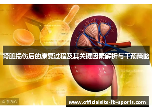 肾脏损伤后的康复过程及其关键因素解析与干预策略