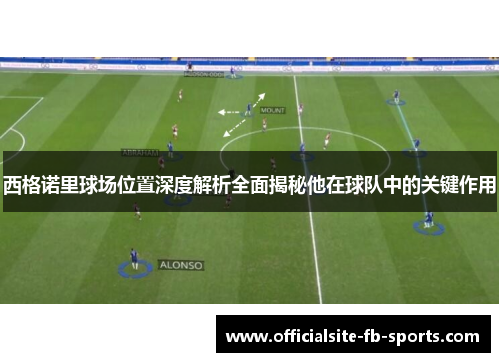 西格诺里球场位置深度解析全面揭秘他在球队中的关键作用 西格诺里球场位置深度解析全面揭秘他在球队中的关键作用