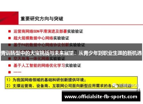青训转型中的大宝挑战与未来展望：从青少年到职业生涯的新机遇
